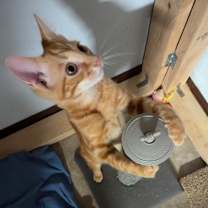 Thumbnail photo of Hanson #4