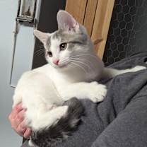 Thumbnail photo of Hendrix #1