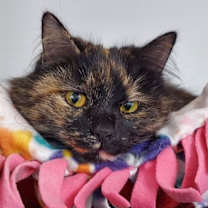 Thumbnail photo of Deanna #1