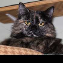 Thumbnail photo of Deanna #3