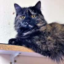 Thumbnail photo of Deanna #4