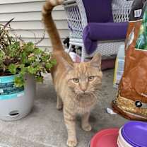 Thumbnail photo of Colby #1