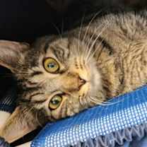 Thumbnail photo of August #1