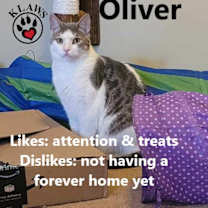 Thumbnail photo of Oliver #1