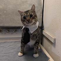 Thumbnail photo of Winston #1