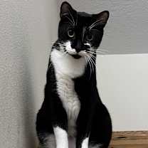 Thumbnail photo of Fritz #4