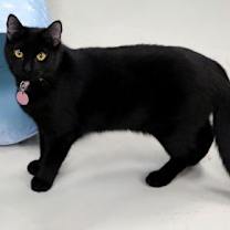 Thumbnail photo of Franny #2