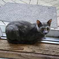 Thumbnail photo of Bertha #2