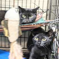 Thumbnail photo of Margo #1