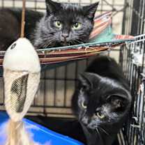 Thumbnail photo of Margo #2