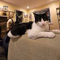 Thumbnail photo of Bruce (Courtesy Post) #3