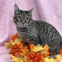 Thumbnail photo of Lori #1
