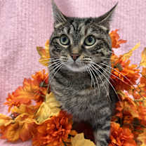 Thumbnail photo of Lori #3
