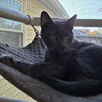 Thumbnail photo of Jasmine #1