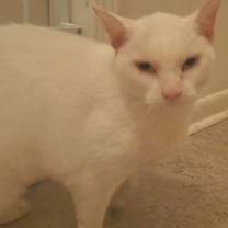 Thumbnail photo of Salt #1