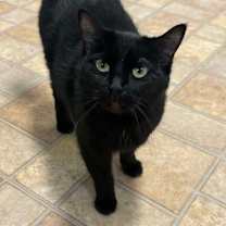 Thumbnail photo of Lily #1