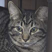 Thumbnail photo of Mia #3