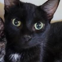 Thumbnail photo of Tia #1