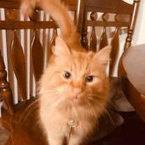 Thumbnail photo of Mister #1