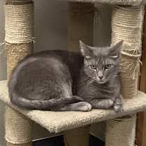 Thumbnail photo of Pterry #2