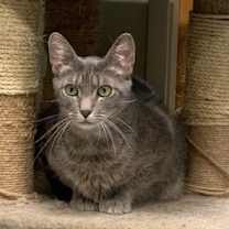 Thumbnail photo of Pterry #3