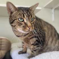 Thumbnail photo of Ellie #2