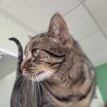 Thumbnail photo of Ellie #3