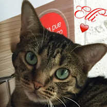 Thumbnail photo of Ellie #4