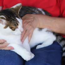 Thumbnail photo of Vail - CSC #3