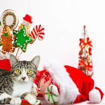 Thumbnail photo of Cinnabon #1