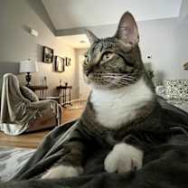 Thumbnail photo of Carbonara #3