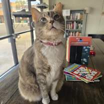 Thumbnail photo of Nina #1