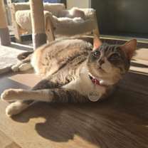 Thumbnail photo of Nina #2