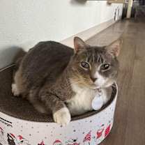 Thumbnail photo of Nina #3