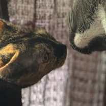 Thumbnail photo of Tallahassee #4