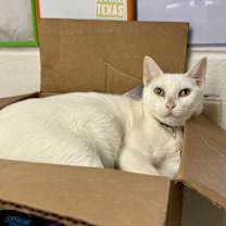 Thumbnail photo of Blanca #2