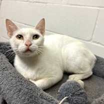 Thumbnail photo of Blanca #3