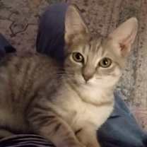 Thumbnail photo of Hera #1