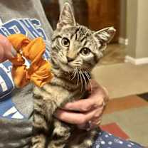 Thumbnail photo of EMMA #2