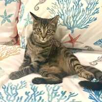 Thumbnail photo of EMMA #1