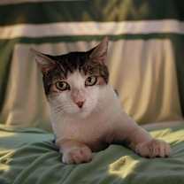 Thumbnail photo of Lewis #3