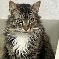 Thumbnail photo of Frank #1