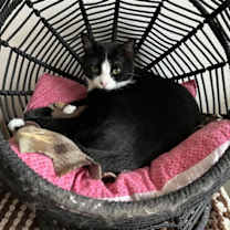 Thumbnail photo of Macie #1