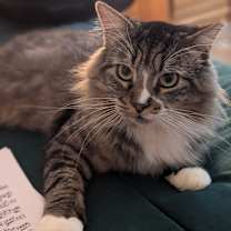 Thumbnail photo of Larry #2