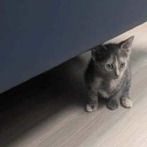 Thumbnail photo of Carrie #2