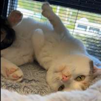 Thumbnail photo of Georgina #3