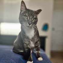 Thumbnail photo of Rosie #4