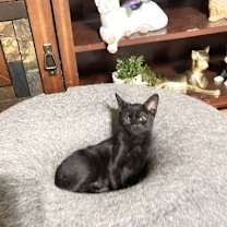 Thumbnail photo of Storm #2