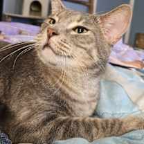 Thumbnail photo of Buddy #1