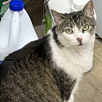 Thumbnail photo of Ariel #3